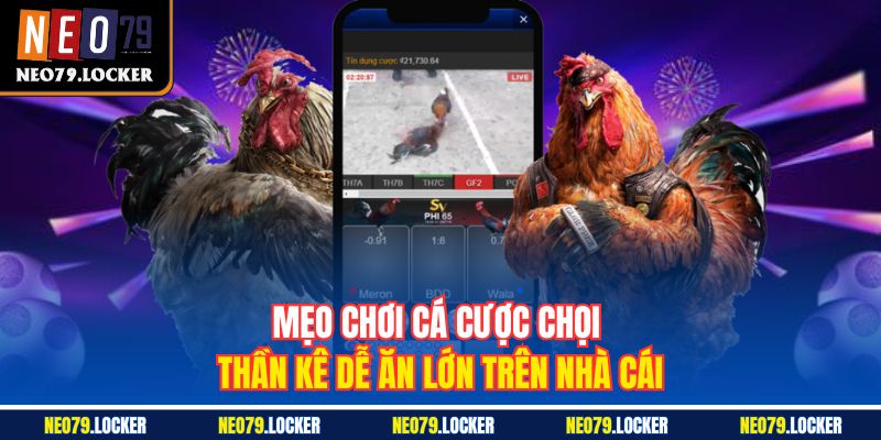 Đá Gà Neo79 3 Mẹo chơi cá cược chọi thần kê dễ ăn lớn trên nhà cái